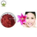 Pigmento 100% natural de licopeno CAS 502-65-8